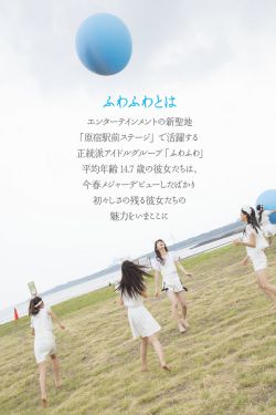 木叶八色